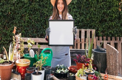 How Digital Marketing Builds Your Home Improvement Business Right in Your Own Backyard