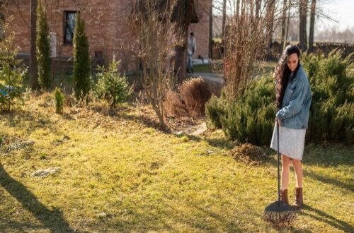 Top Landscape Curbing Services in Smithfield Utah